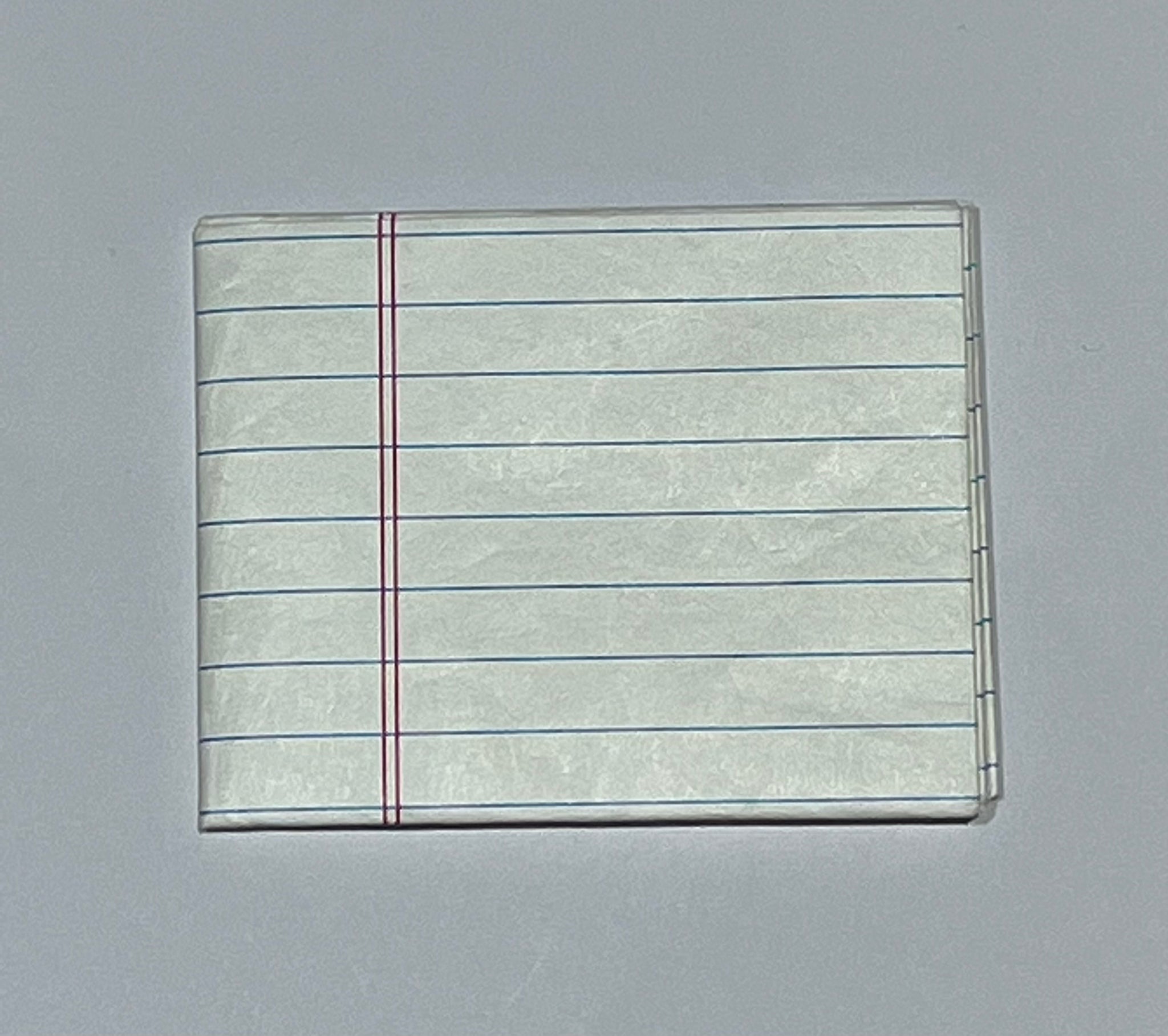 Wonder Wallet - Tyvek - Lined Paper – FreeKey Canada